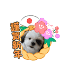 2021年1月に使えるかわいいスタンプ。（個別スタンプ：1）