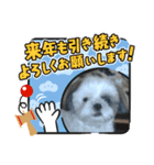 2021年1月に使えるかわいいスタンプ。（個別スタンプ：5）