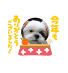 2021年1月に使えるかわいいスタンプ。（個別スタンプ：9）