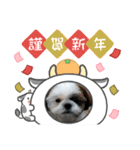 2021年1月に使えるかわいいスタンプ。（個別スタンプ：11）