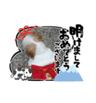 2021年1月に使えるかわいいスタンプ。（個別スタンプ：15）