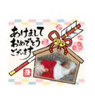 2021年1月に使えるかわいいスタンプ。（個別スタンプ：16）