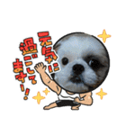 2021年1月に使えるかわいいスタンプ。（個別スタンプ：20）
