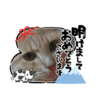 2021年1月に使えるかわいいスタンプ。（個別スタンプ：22）