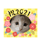 2021年1月に使えるかわいいスタンプ。（個別スタンプ：23）
