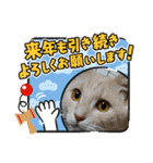 2021年1月に使えるかわいいスタンプ。（個別スタンプ：24）
