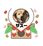 ピースワンコ保護犬スタンプワンだふるver2（個別スタンプ：23）