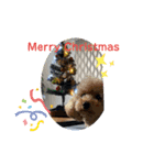 Xmas＆新年  ムッキー（個別スタンプ：4）