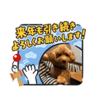 Xmas＆新年  ムッキー（個別スタンプ：5）