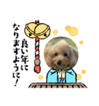 Xmas＆新年  ムッキー（個別スタンプ：6）