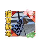 Xmas＆新年  ムッキー（個別スタンプ：7）