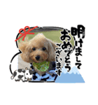 Xmas＆新年  ムッキー（個別スタンプ：8）