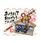 Xmas＆新年  ムッキー（個別スタンプ：9）