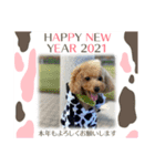 Xmas＆新年  ムッキー（個別スタンプ：12）