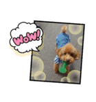 Xmas＆新年  ムッキー（個別スタンプ：16）