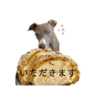 トティ男の生活（個別スタンプ：12）