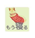 フレブル小次郎でし①（個別スタンプ：18）