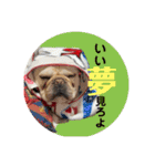 フレブル小次郎でし①（個別スタンプ：19）