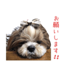 卯月のLINEスタンプ（個別スタンプ：8）