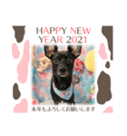 ☆れいり〜☆（個別スタンプ：4）