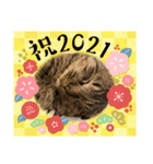 キャベツ君の年賀スタンプ（個別スタンプ：1）