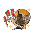 キャベツ君の年賀スタンプ（個別スタンプ：7）