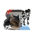 キャベツ君の年賀スタンプ（個別スタンプ：8）