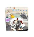 あいちゃんstamp①（個別スタンプ：7）