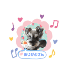 あいちゃんstamp①（個別スタンプ：10）