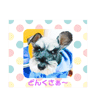 あいちゃんstamp①（個別スタンプ：16）
