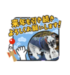あいちゃんstamp①（個別スタンプ：17）