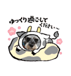 あいちゃんstamp①（個別スタンプ：19）