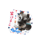 あいちゃんstamp①（個別スタンプ：23）