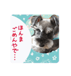 あいちゃんstamp①（個別スタンプ：24）