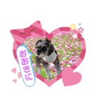 あいちゃんstamp①（個別スタンプ：28）