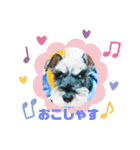 あいちゃんstamp①（個別スタンプ：30）