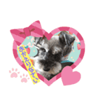 あいちゃんstamp①（個別スタンプ：32）