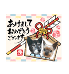 いぬとも＆ねことも☆年賀状2021（個別スタンプ：1）