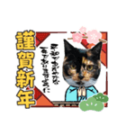 いぬとも＆ねことも☆年賀状2021（個別スタンプ：9）