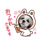 わん(＾ω＾U)わん！（個別スタンプ：8）