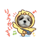 わん(＾ω＾U)わん！（個別スタンプ：10）