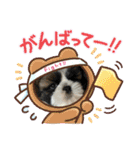 わん(＾ω＾U)わん！（個別スタンプ：12）