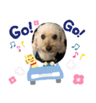 わん(＾ω＾U)わん！（個別スタンプ：18）