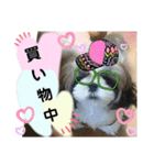 わん(＾ω＾U)わん！（個別スタンプ：20）