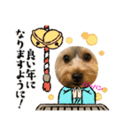 ヨーキー犬の日常（個別スタンプ：40）