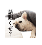フレブルもんのスタンプ（個別スタンプ：13）
