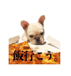 フレブルもんのスタンプ（個別スタンプ：14）