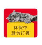 猫のベンの日常生活4（個別スタンプ：2）