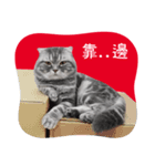 猫のベンの日常生活4（個別スタンプ：5）