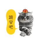 猫のベンの日常生活4（個別スタンプ：8）